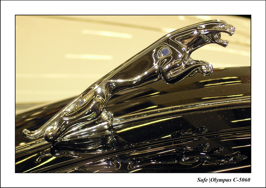 2005 - 02 - Retromobile 031